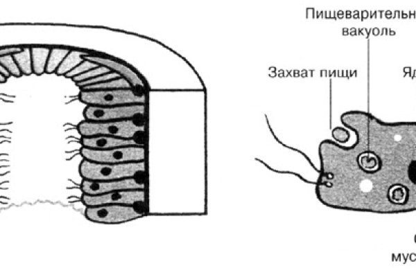 Омг у