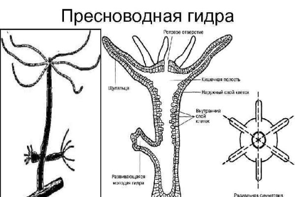 Зеркало омг омг тор